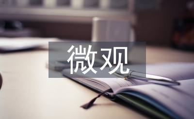 微观经济学的观点